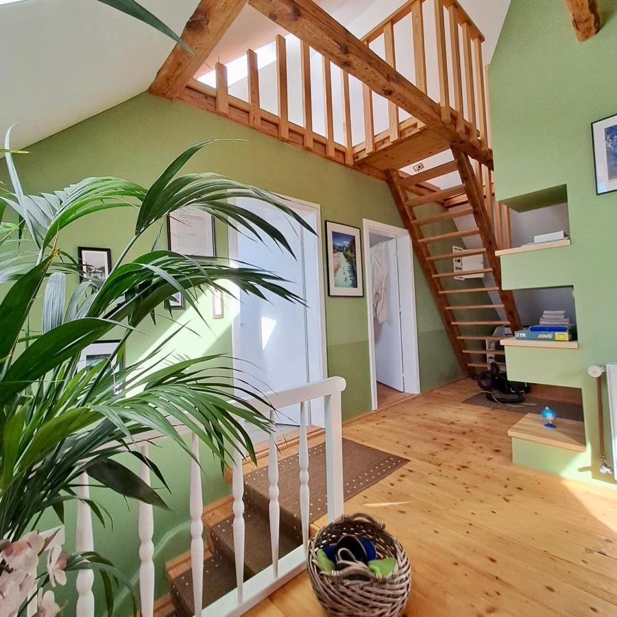 Entire Loft Close To Beautiful Logar Valley Recica ob Savinji Eksteriør billede